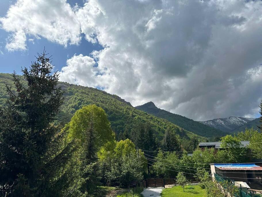 Cosy Mountain Villa In Nizepole บิโตลา ภายนอก รูปภาพ